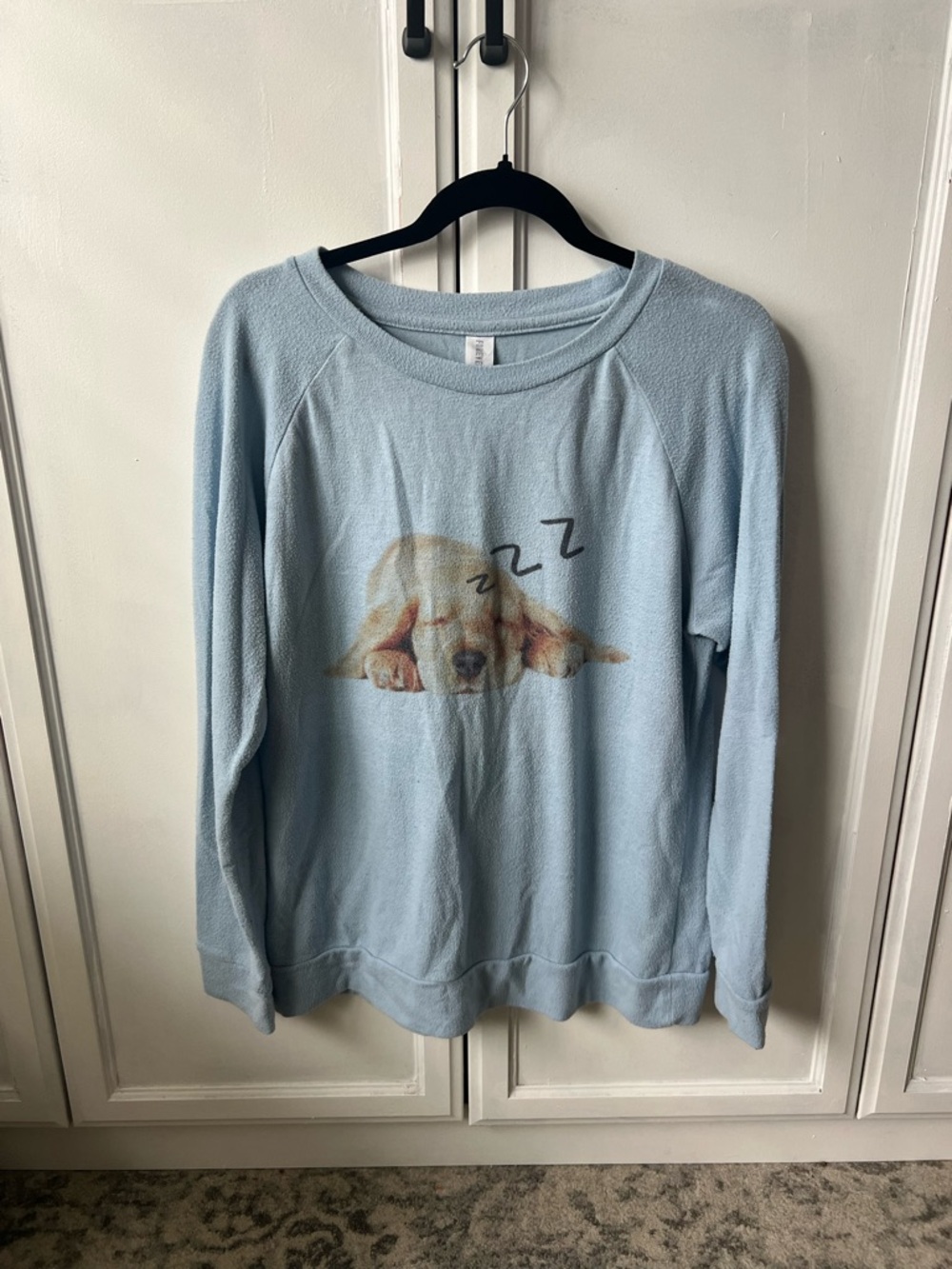Forever 21 Light Blue Crewneck Sweatshirt with Sleeping Puppy Graphic